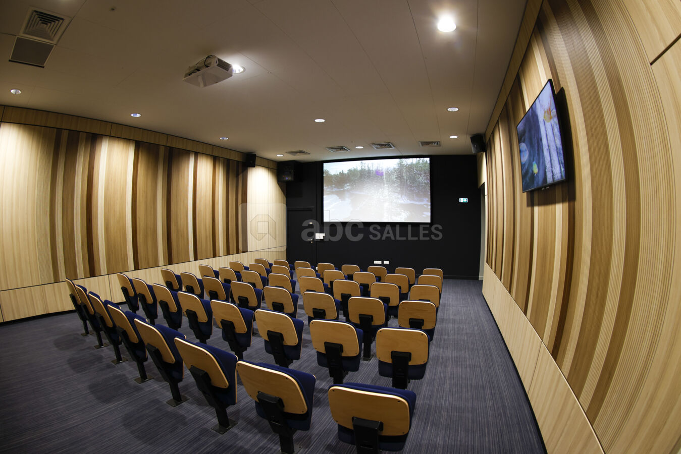 Salle de projection