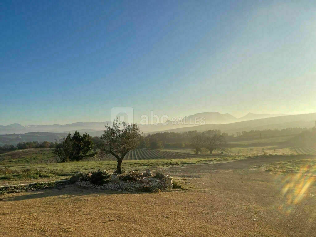 Vue sur chanps de lavande