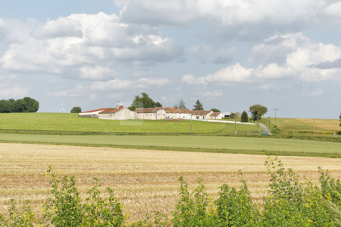 Domaine vu de loin