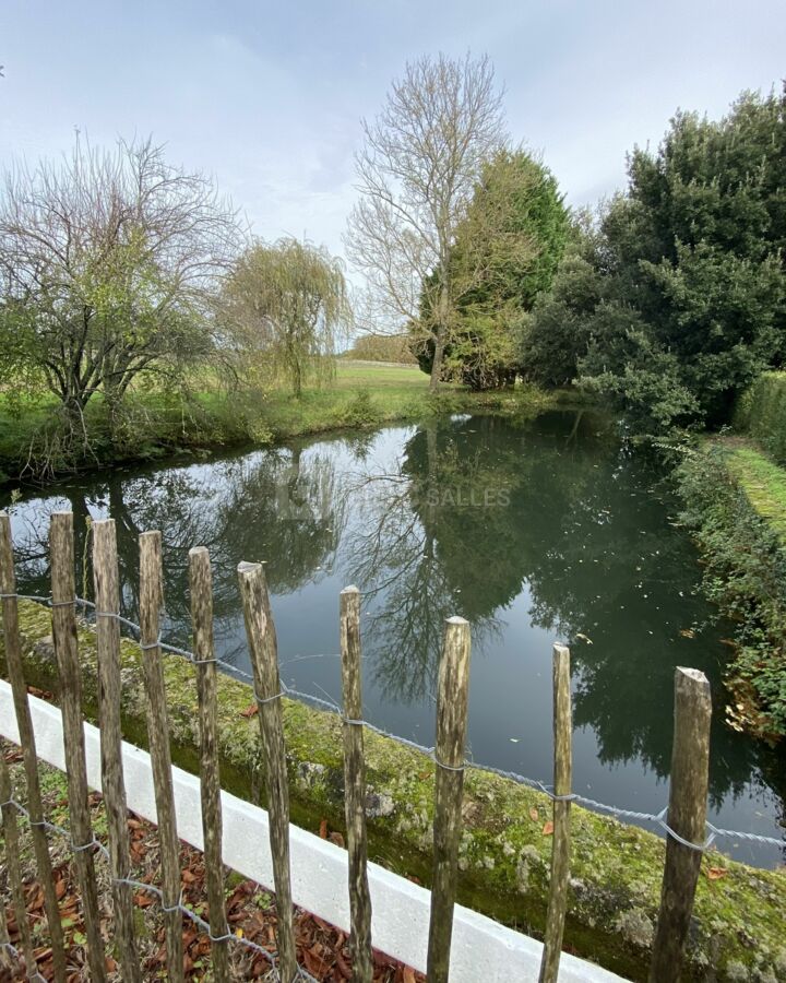 Etang