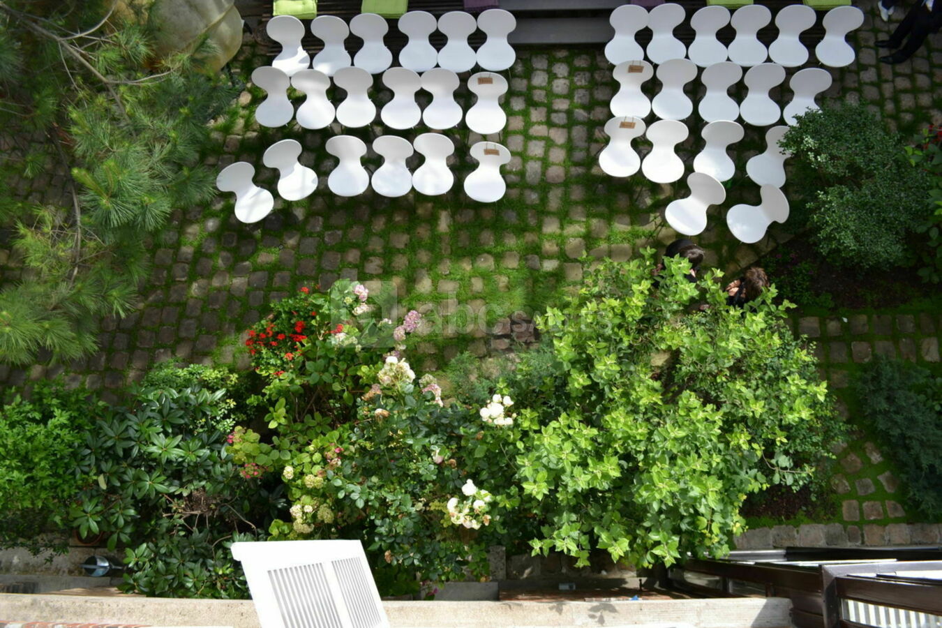 Jardin