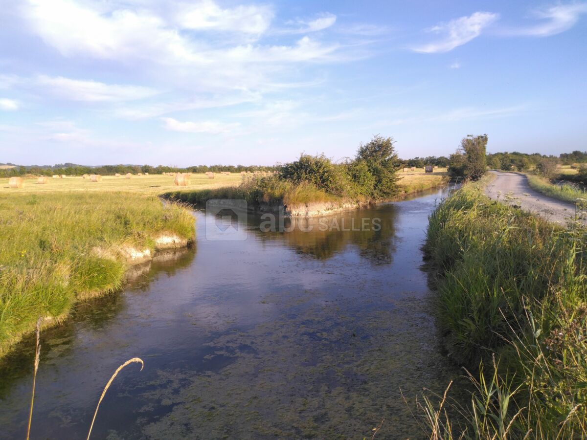 Le marais de Varaville