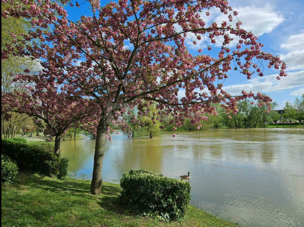 Bord de Marne à proximité