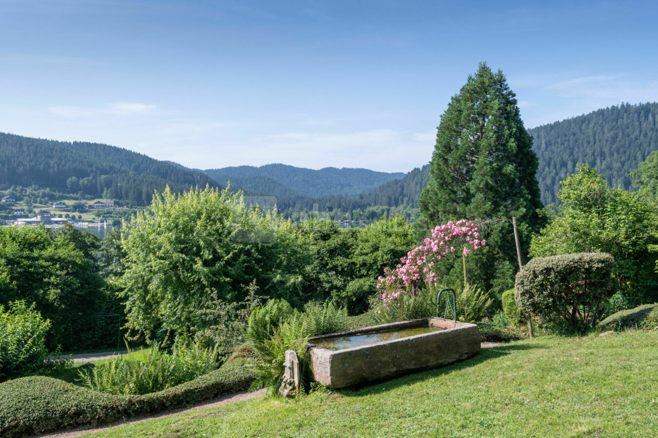 Jardin