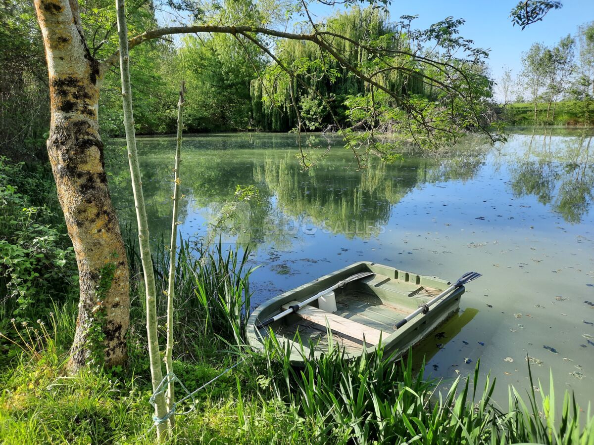L'étang
