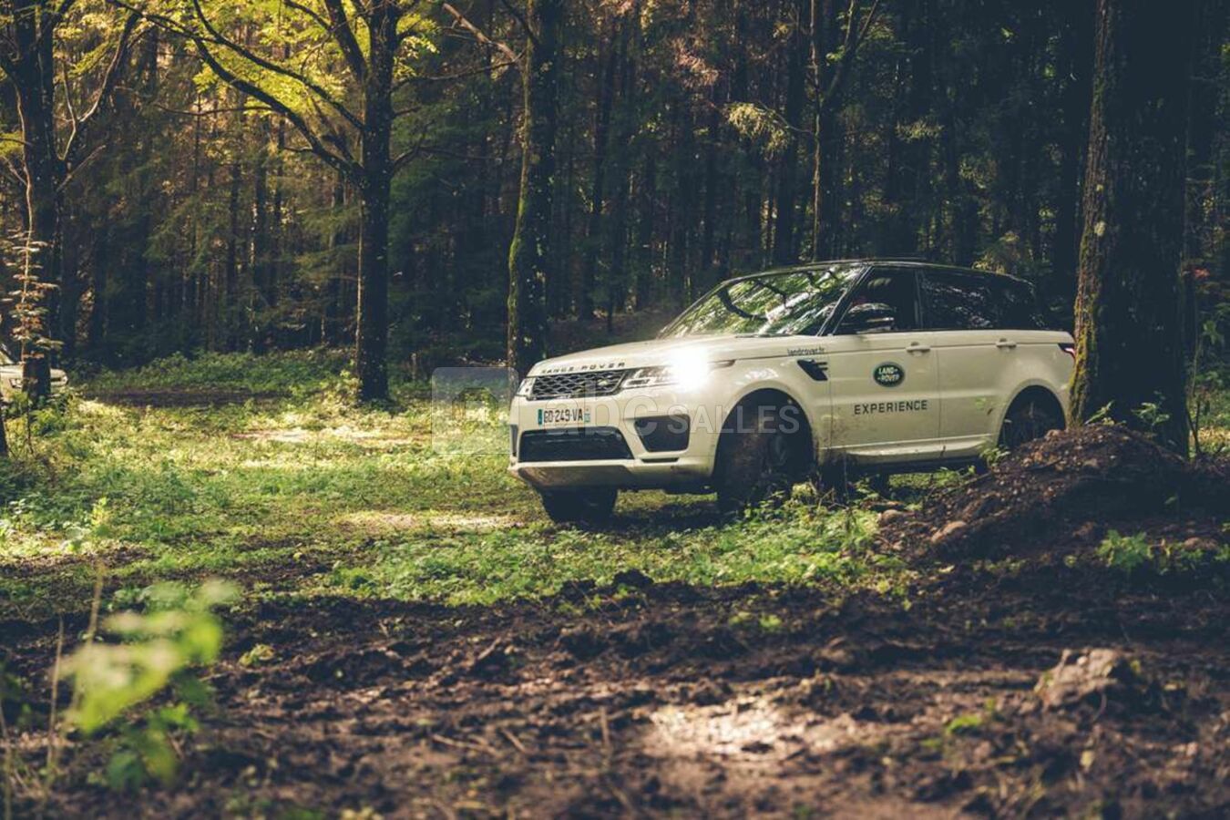 Range rover