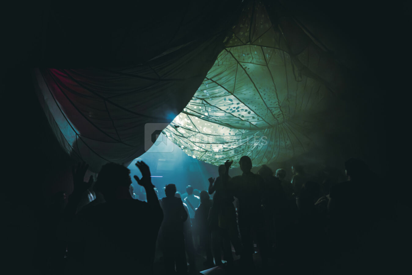 Gallery scénographie