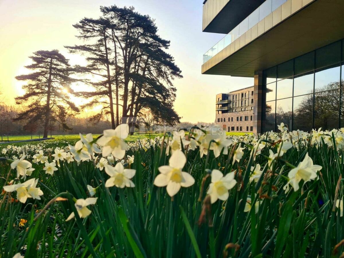 Maubreuil Séminaires en fleurs à Nantes Carquefou 44
