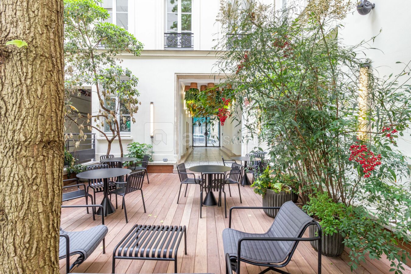 Jardin d'hiver