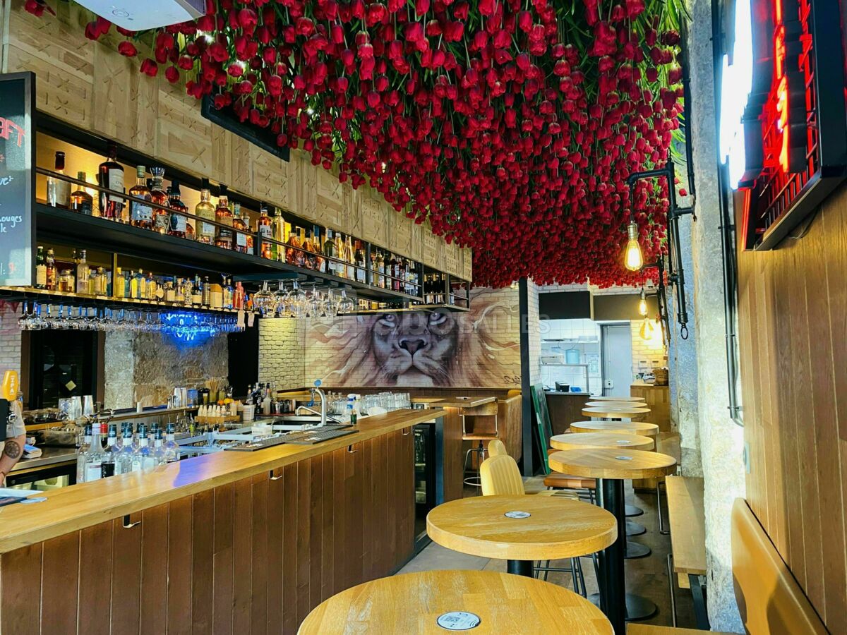 Bar/ salle