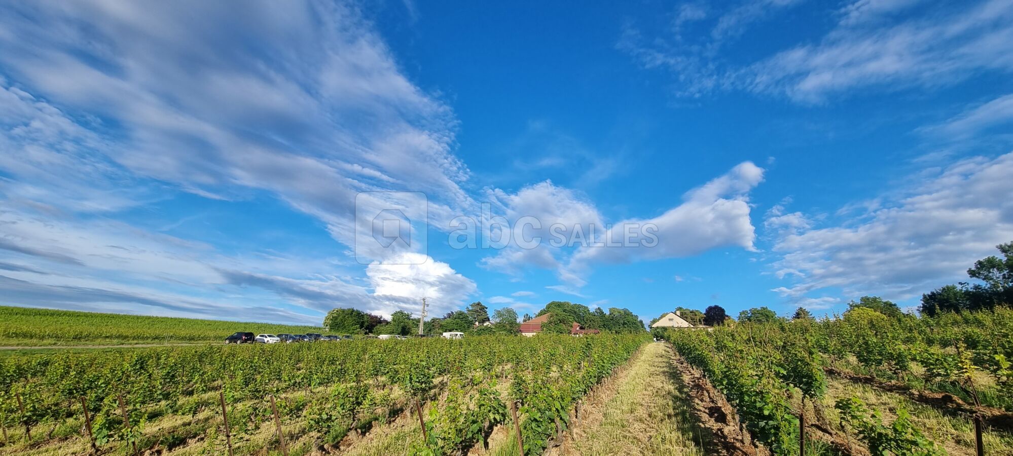 Domaine