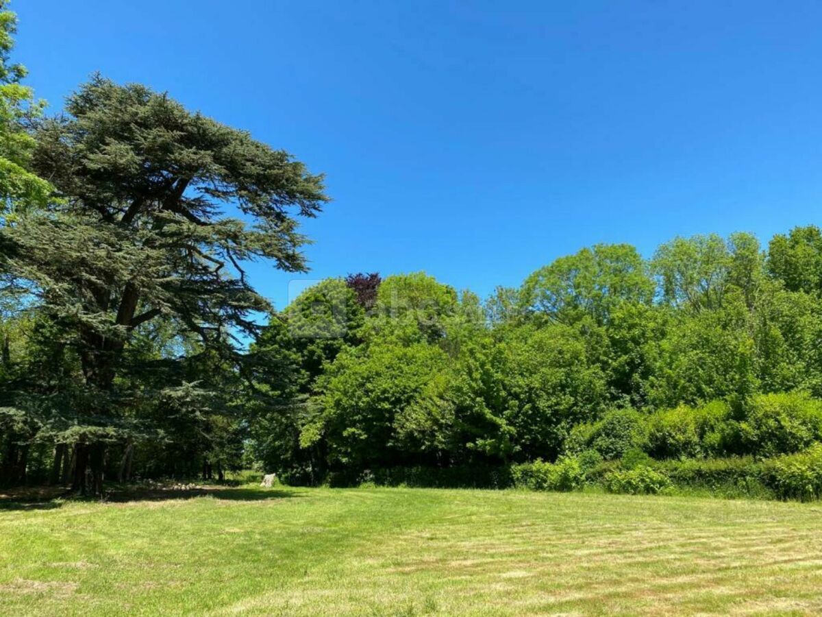 Parc du château avec le cèdre
