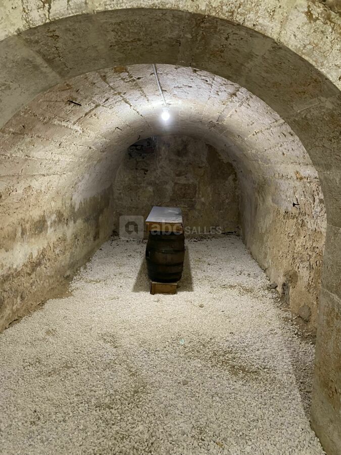 Château de Montanges