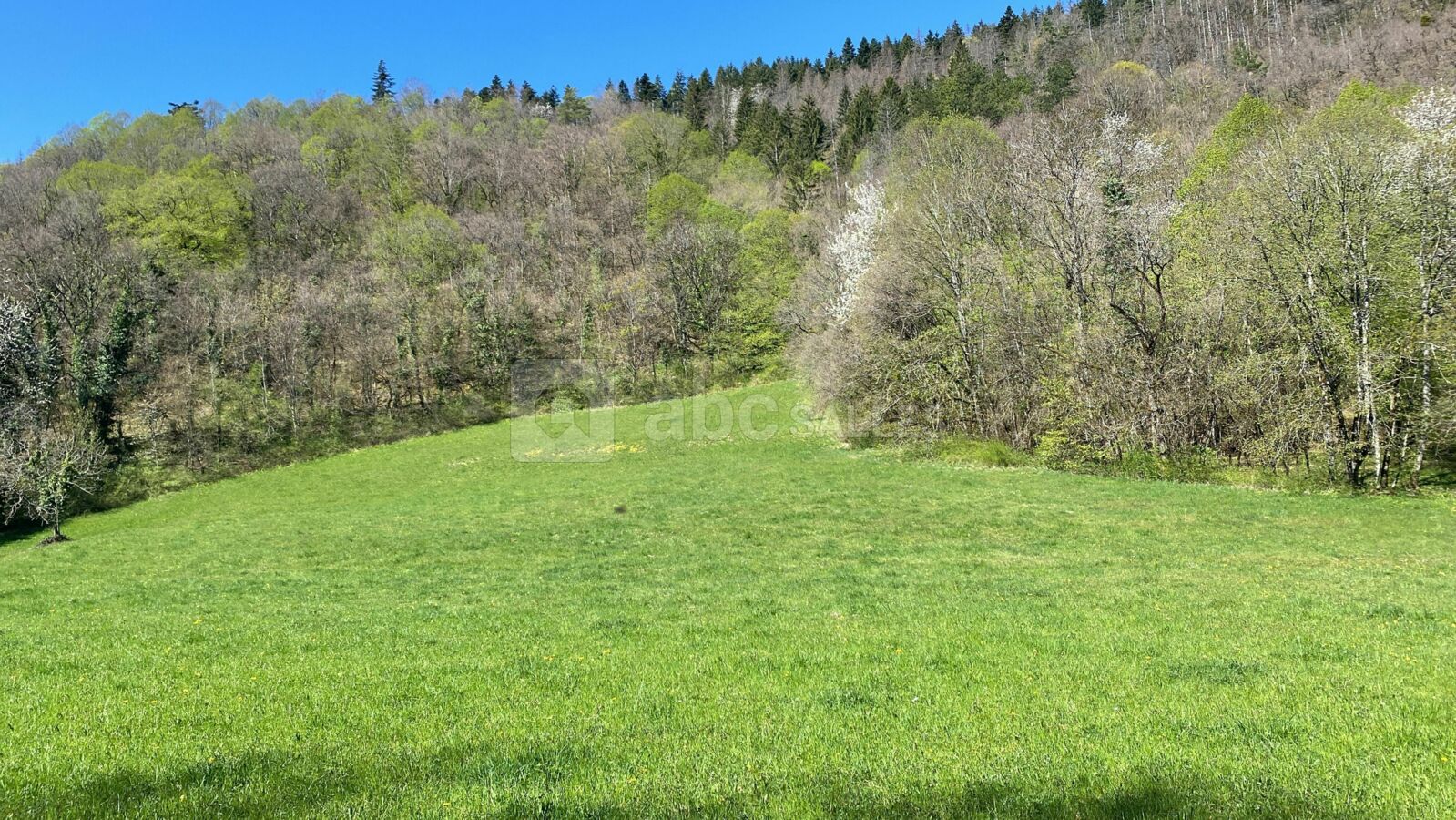 Château de Montanges