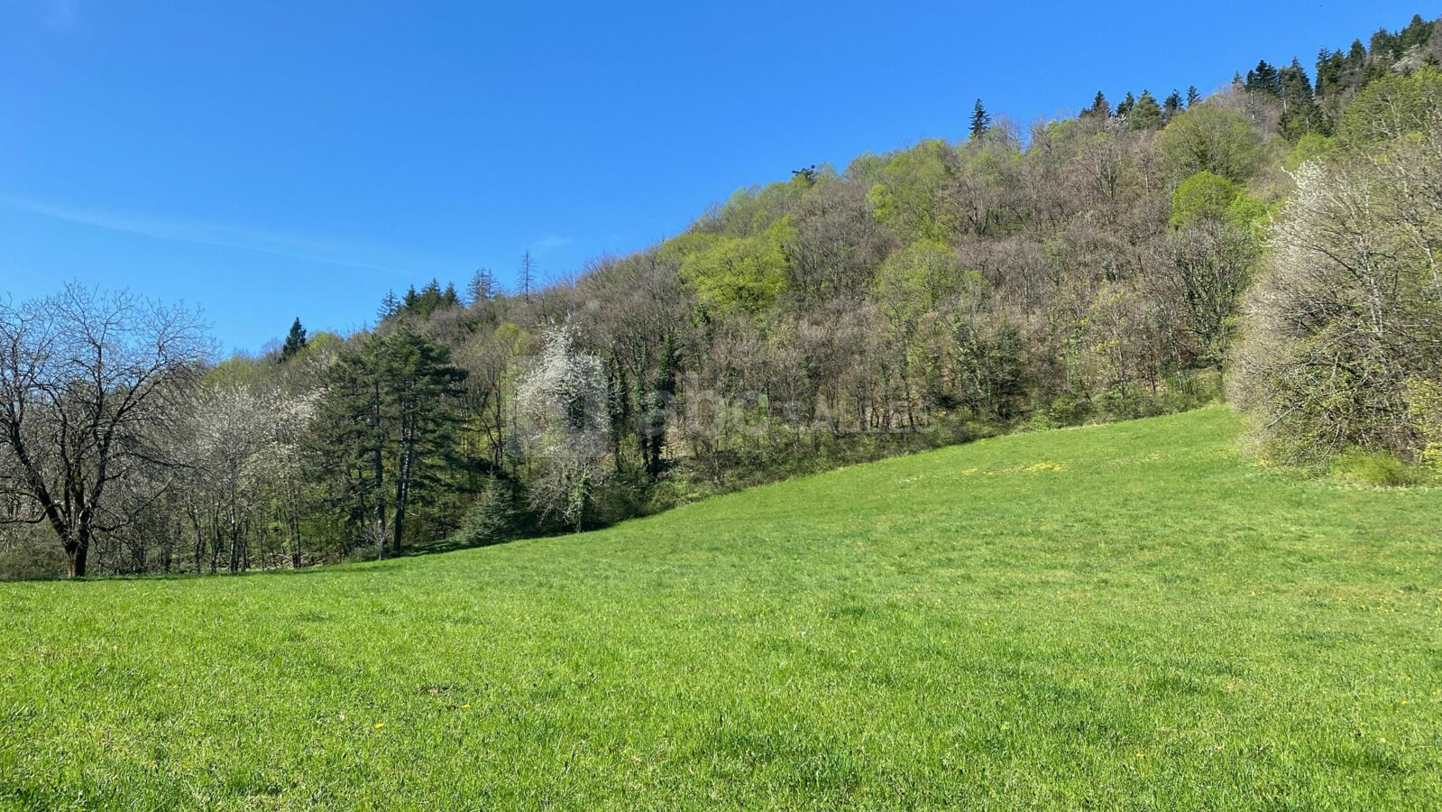 Château de Montanges