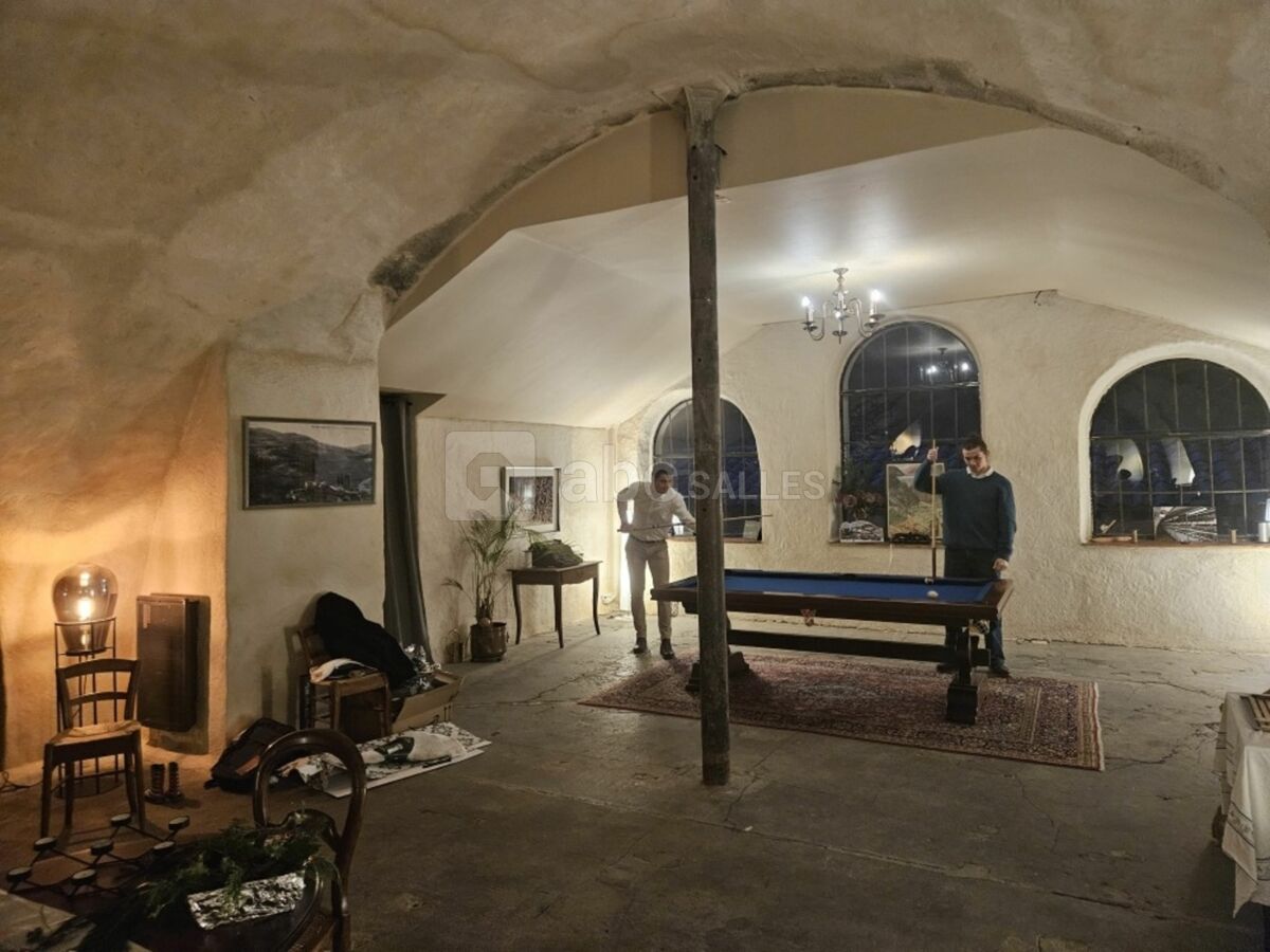 Billard mixte Français et américain