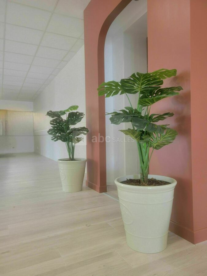 Salle Eventia