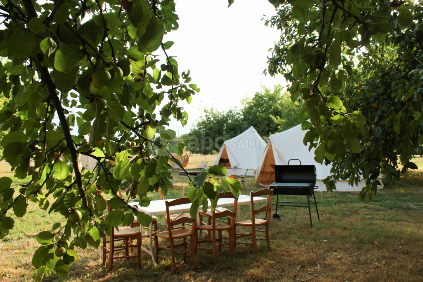 Tentes glamping