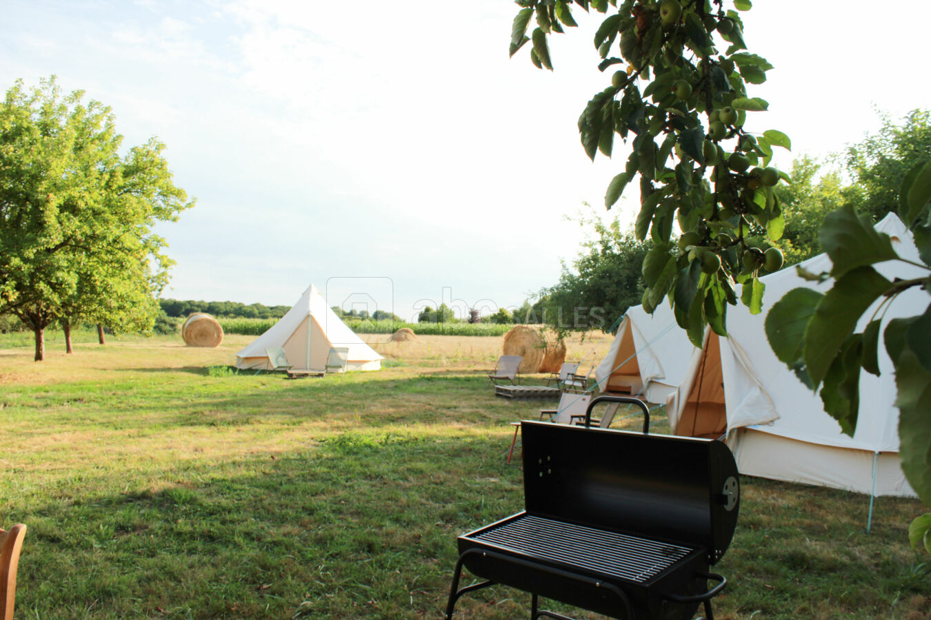Tentes glamping