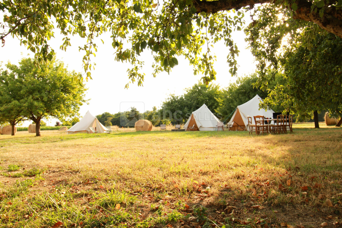 Tentes glamping