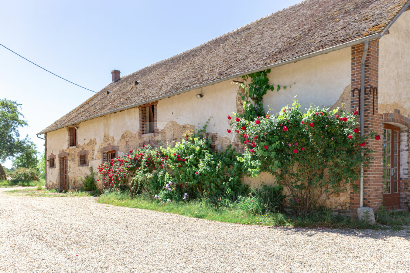 Salle de danse / réception