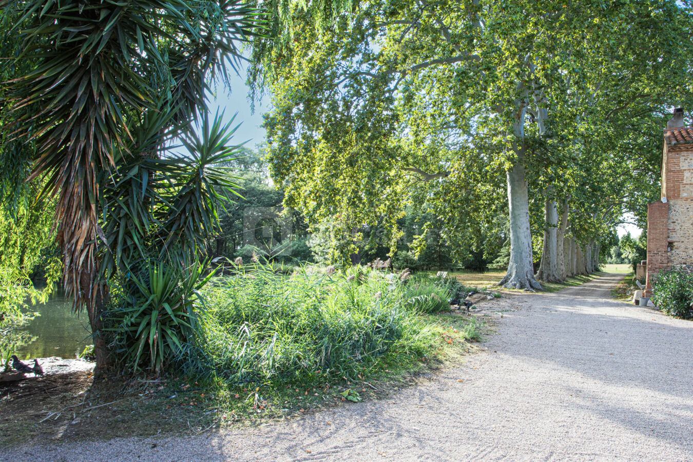 L'entrée