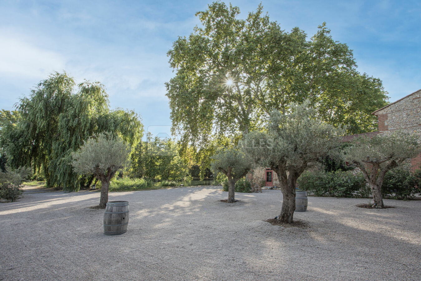 La cour plongeant sur le lac