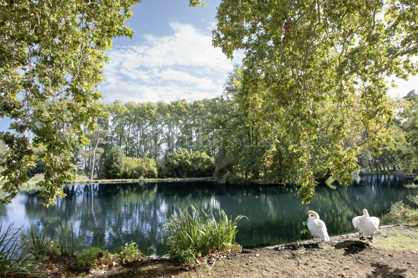 Le lac