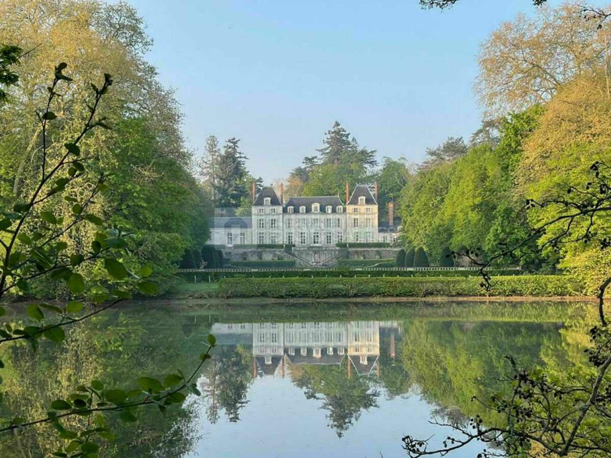 Château du Rondon vu du Loiret