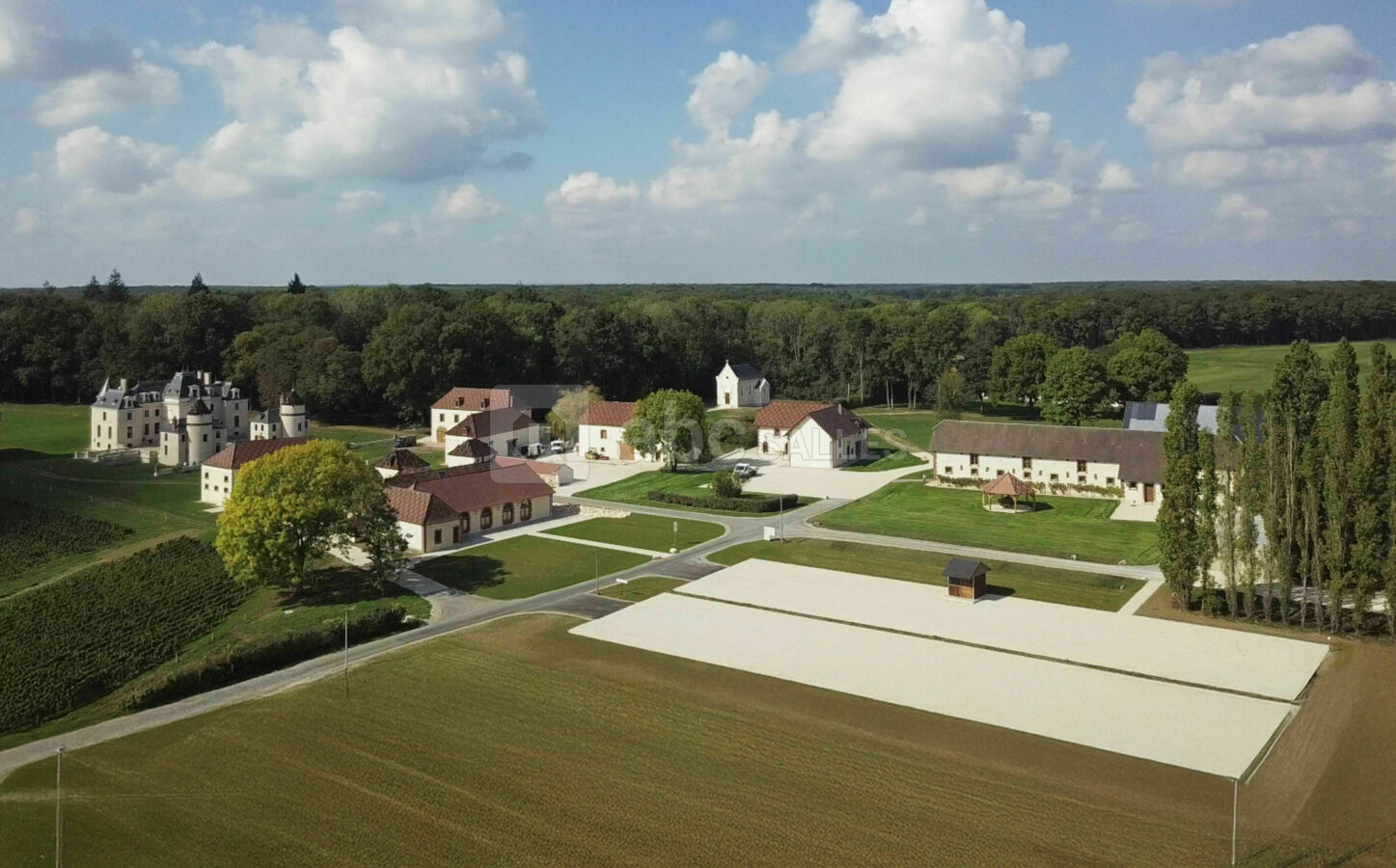 Chateau de la Grange Arthuis