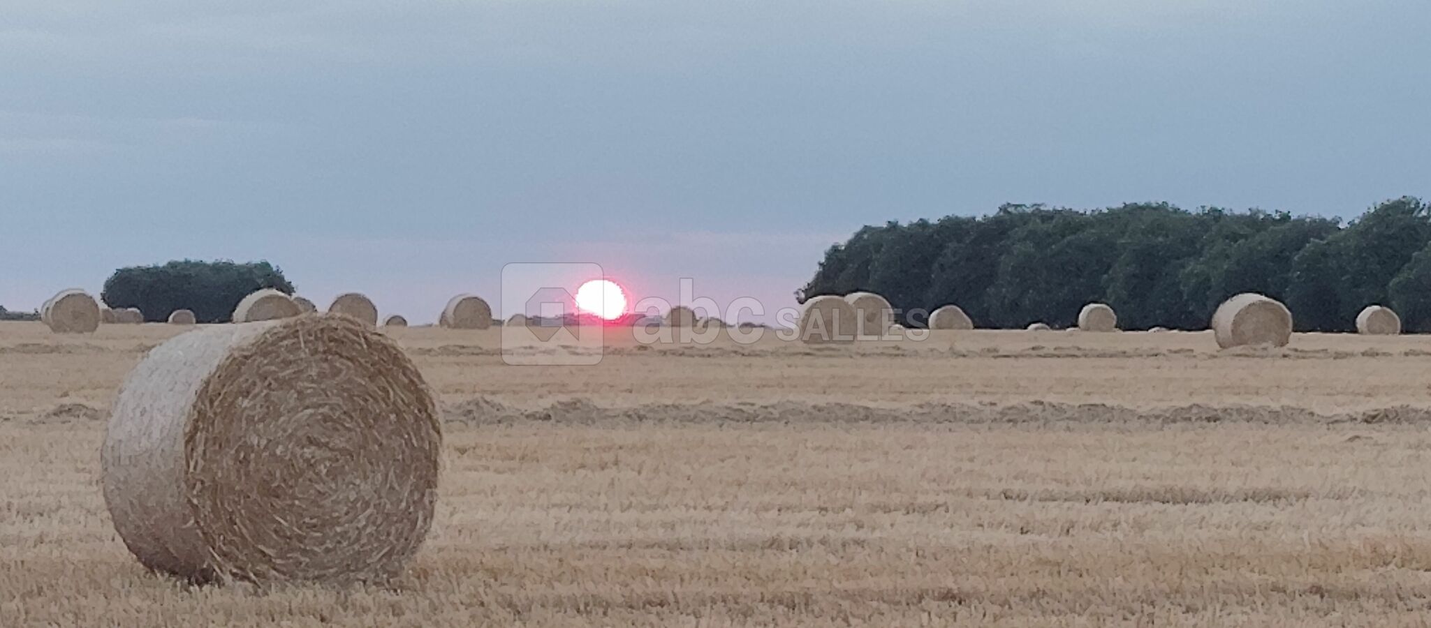 Domaine de la Patrisière