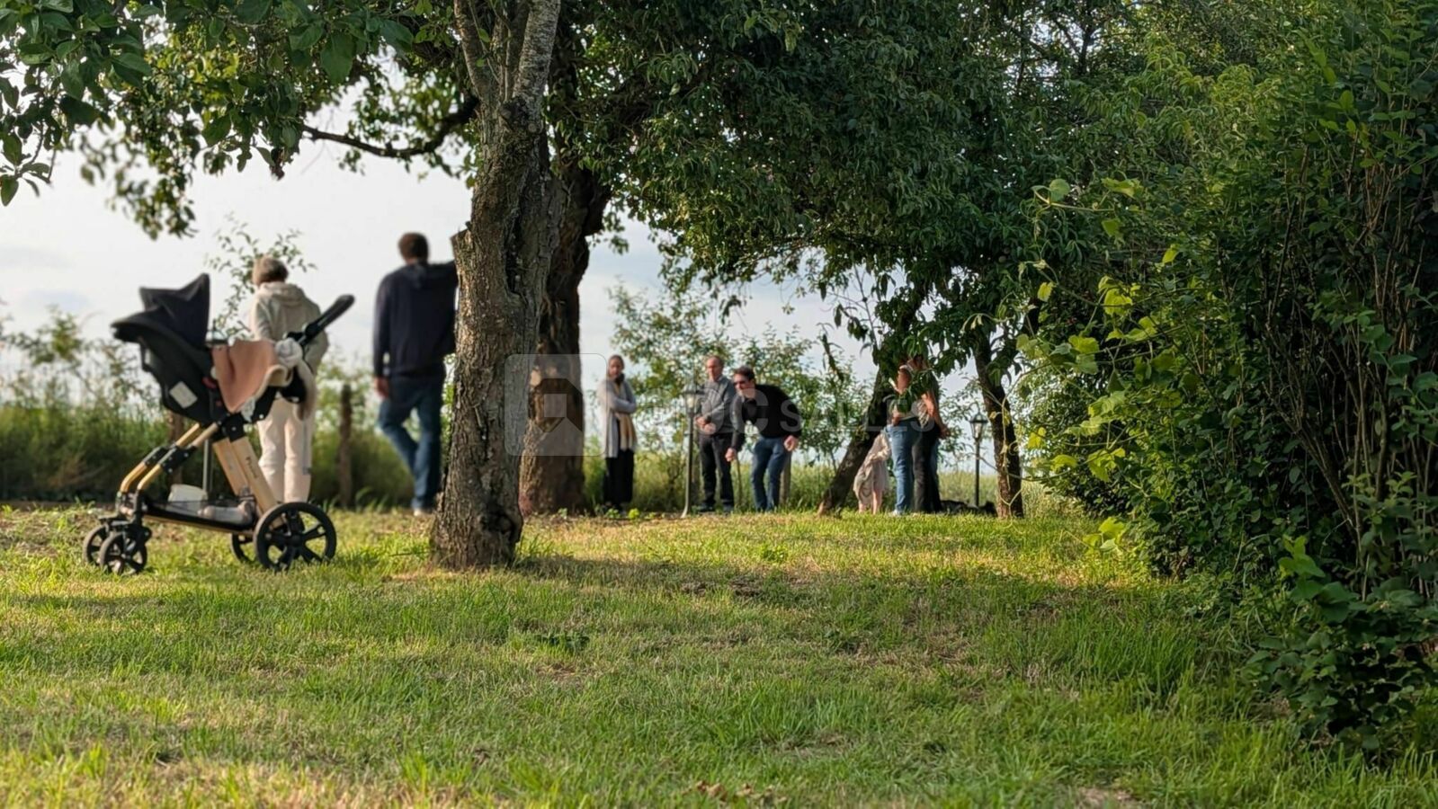 Domaine de la Patrisière