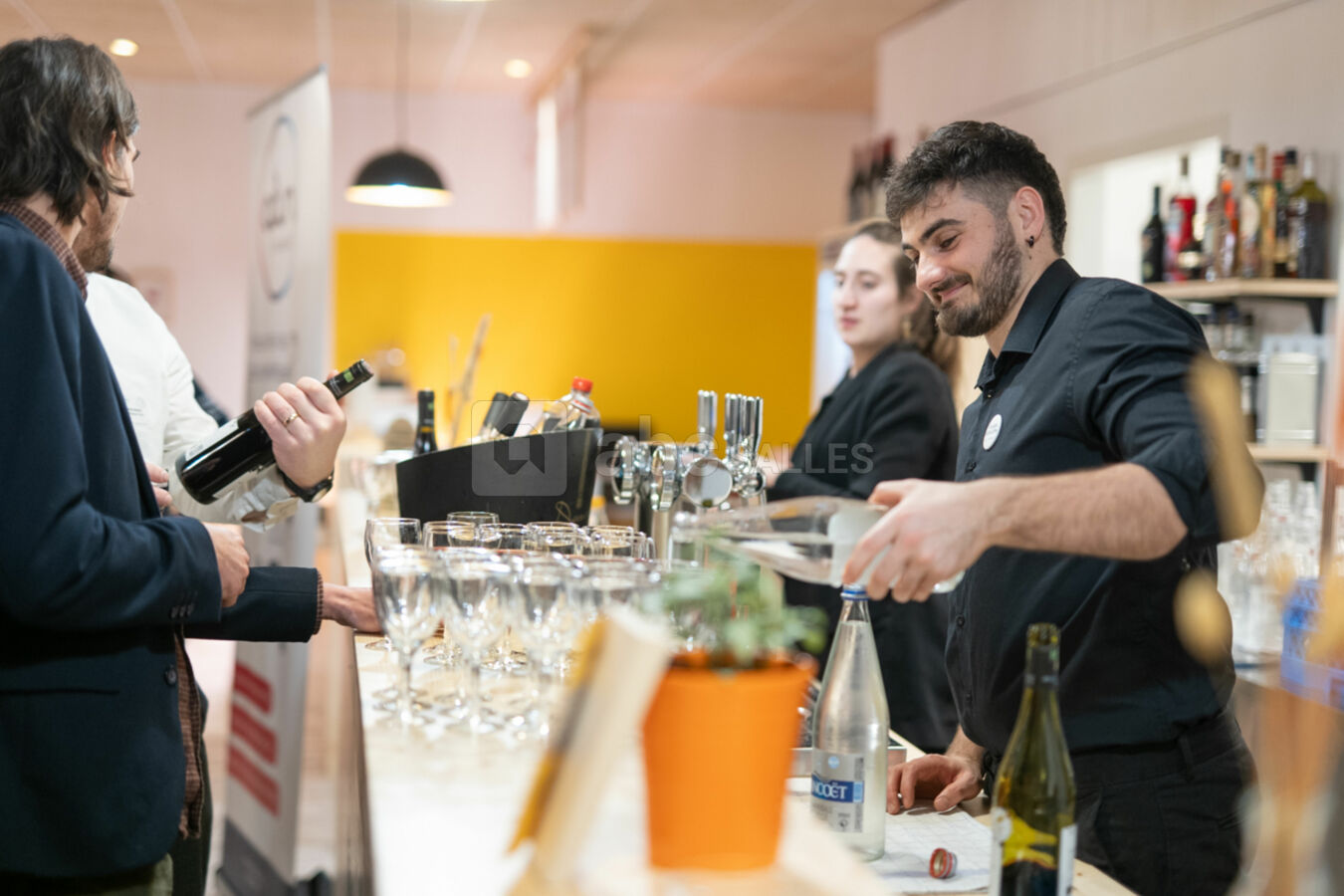 Minutes Papillons Vannes