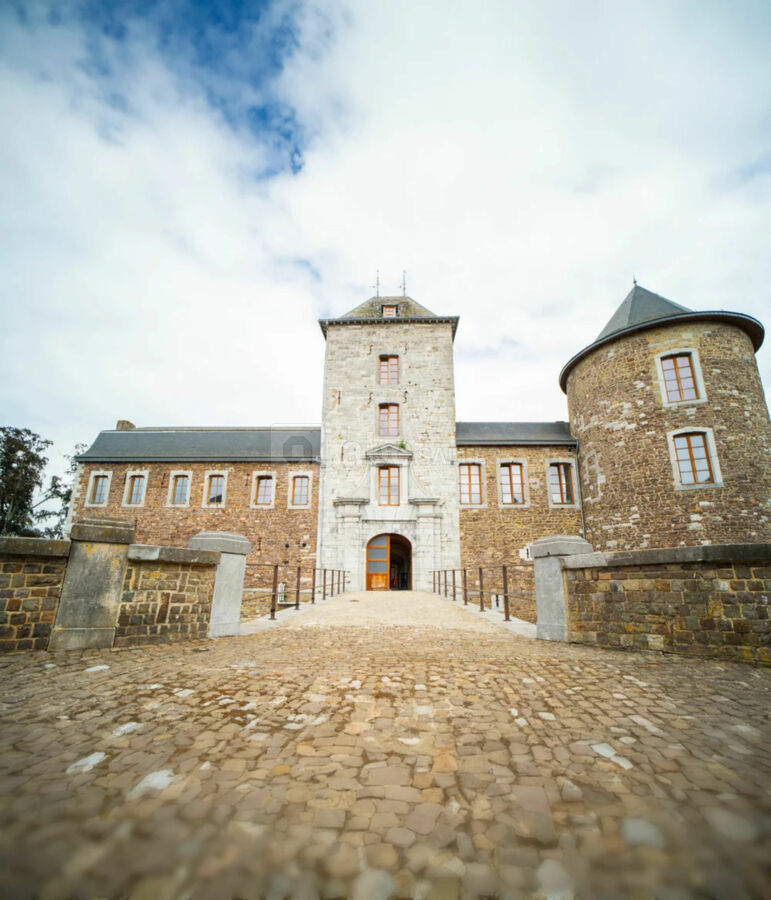 Château Neuville en Condroz
