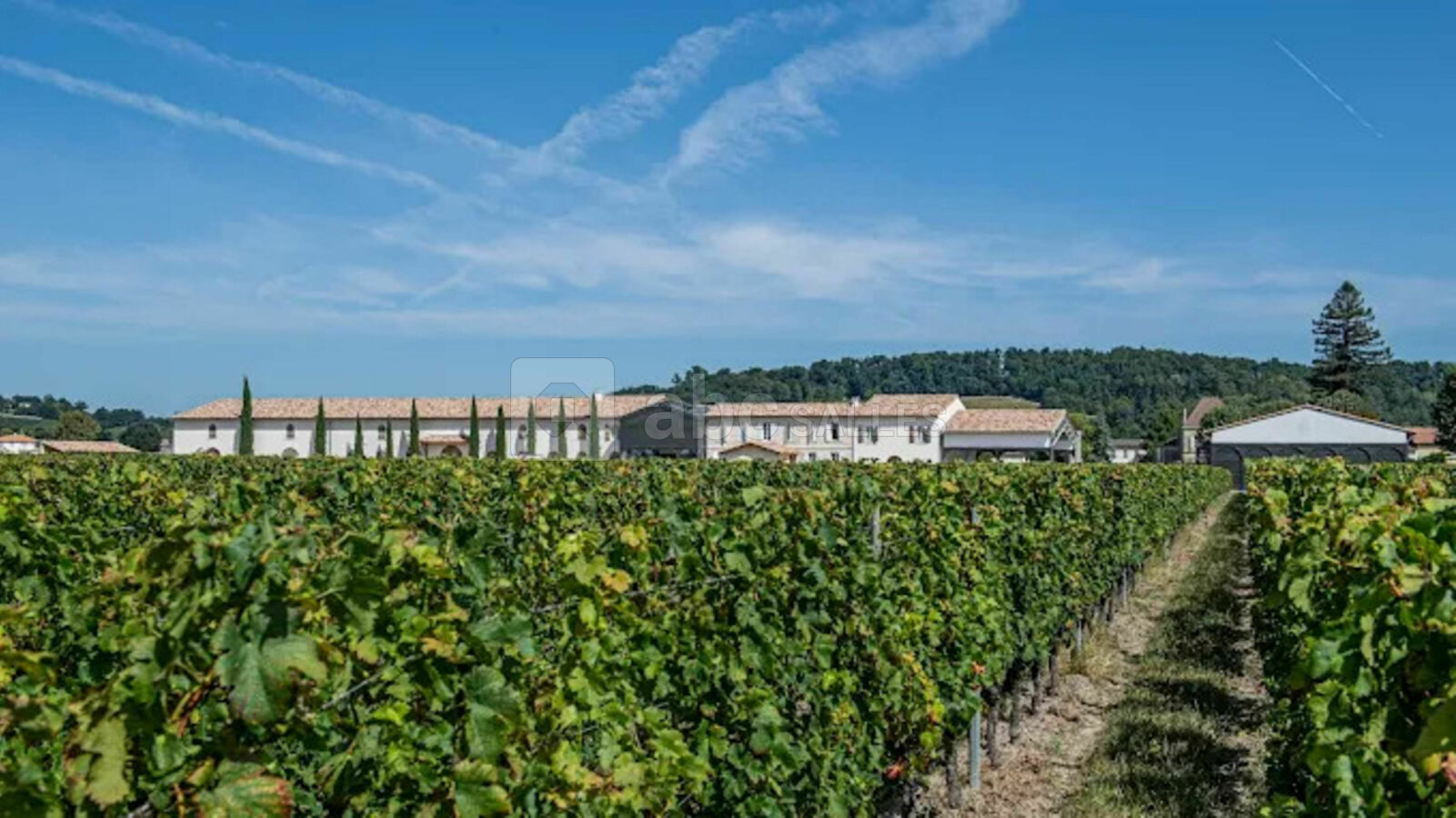 Château Fleur de Lisse - Vignobles Jade