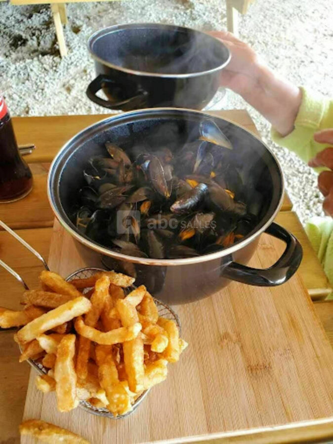 Guinguette - la Blanche Hermine