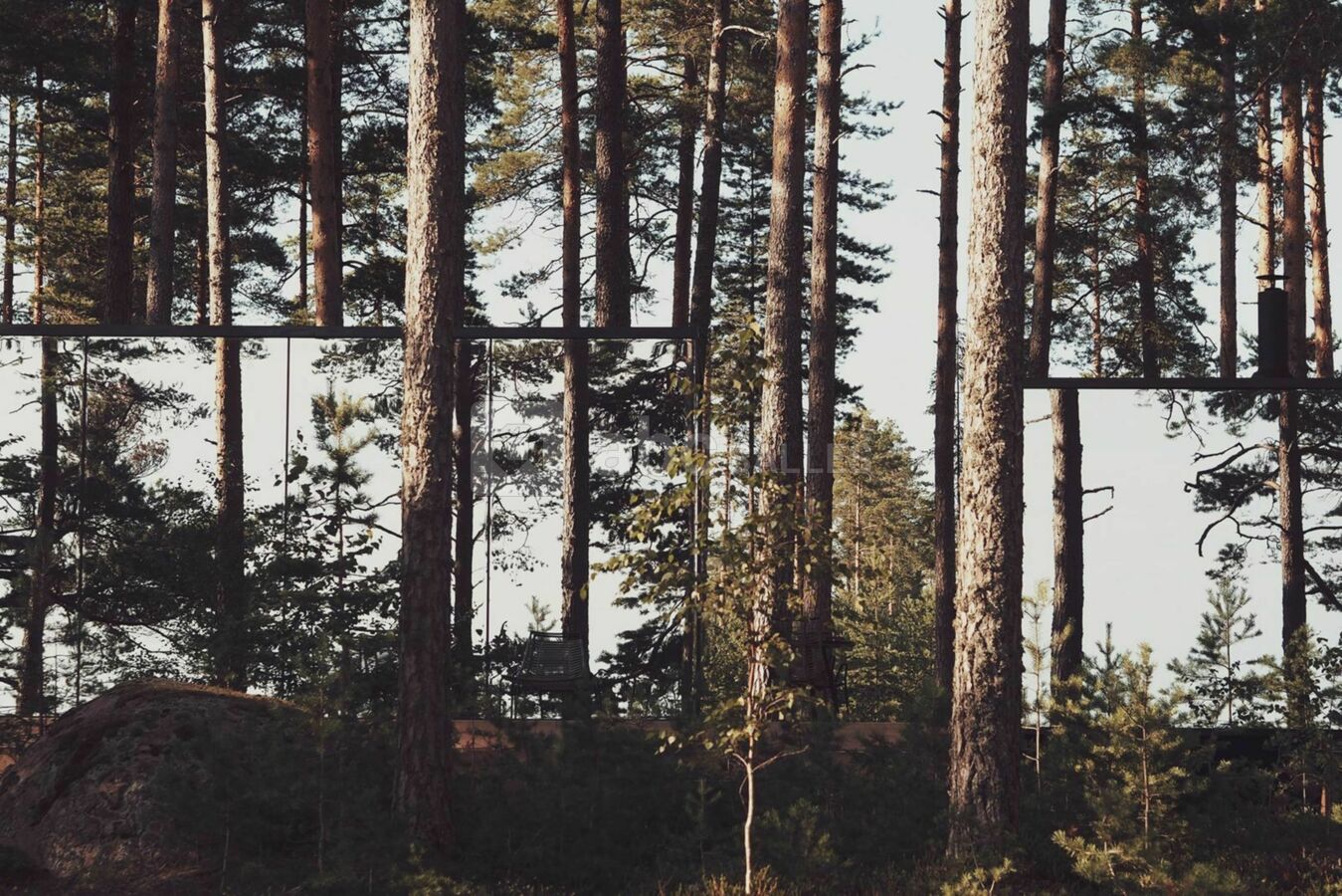 BonjourSauvage Seignosse