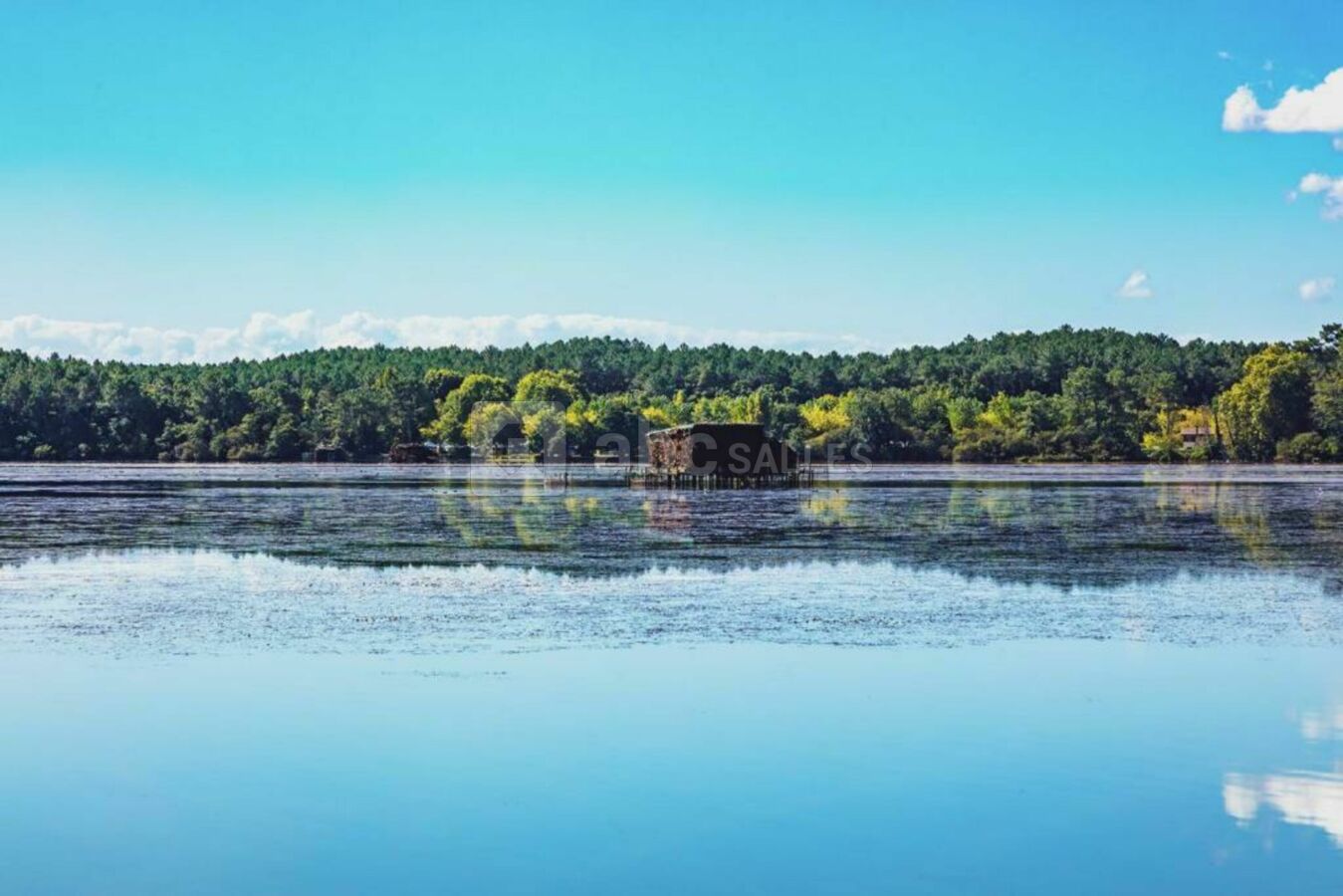 Bonjoursauvage Seignosse