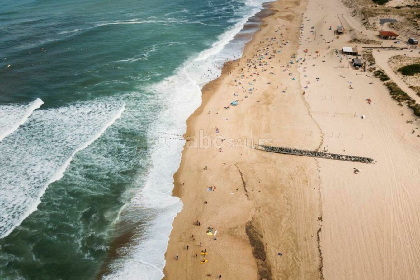 Bonjoursauvage Seignosse