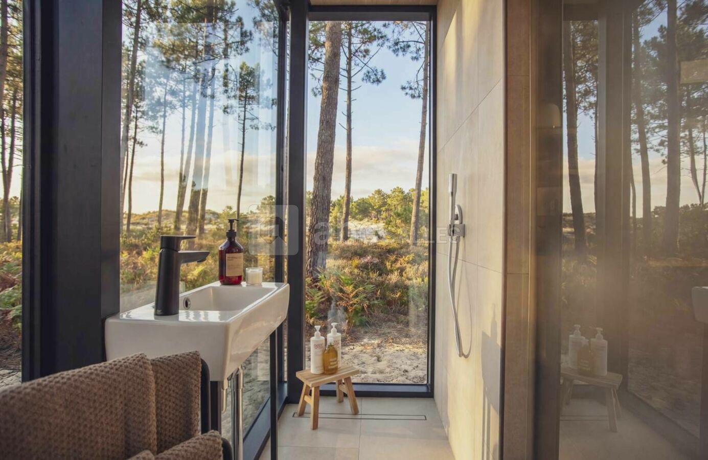 BonjourSauvage Seignosse