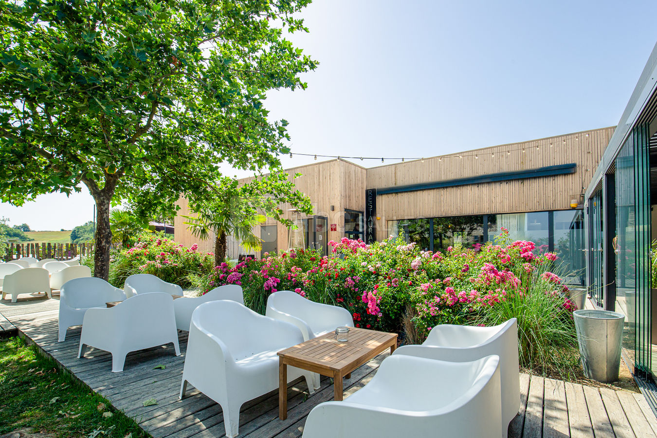 Terrasse Pergola