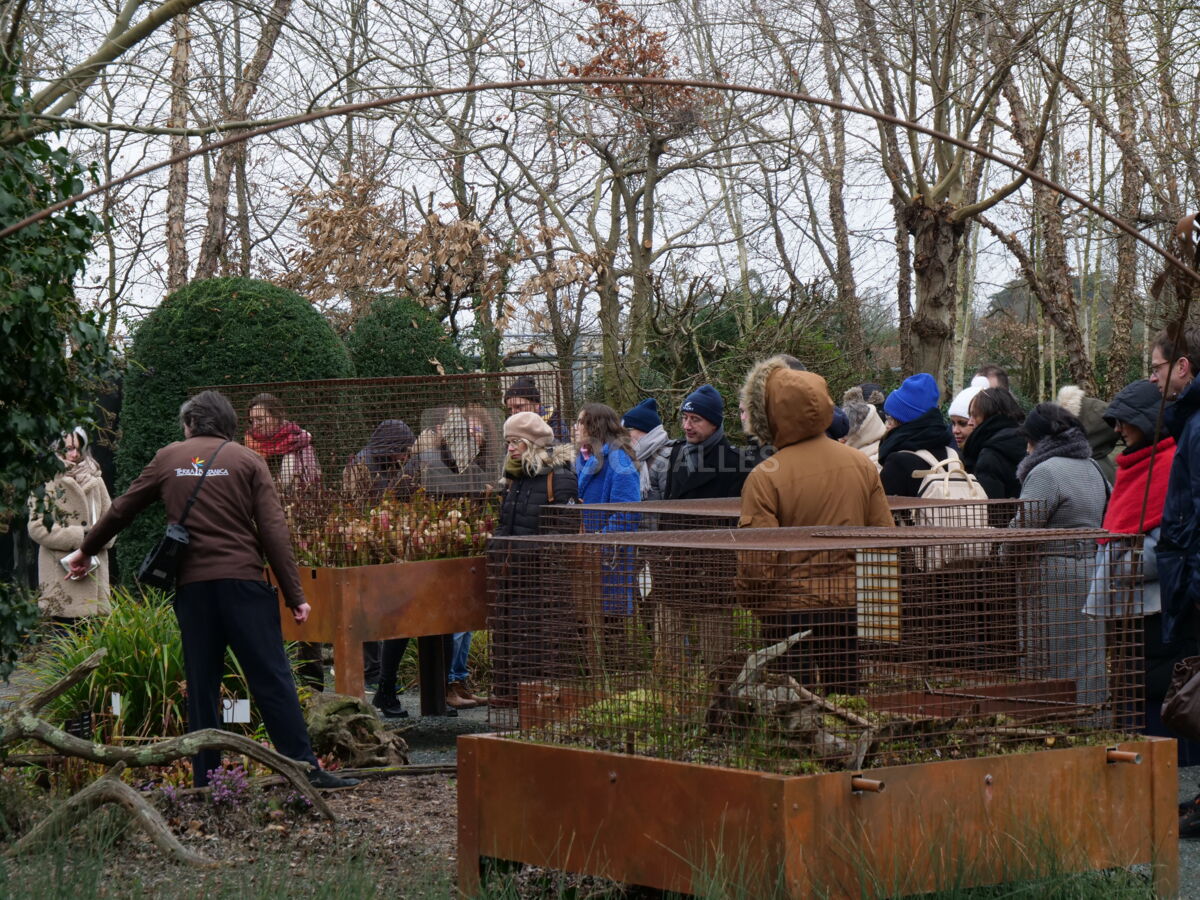 Visite guidée "Les Coulisses du Végétal"