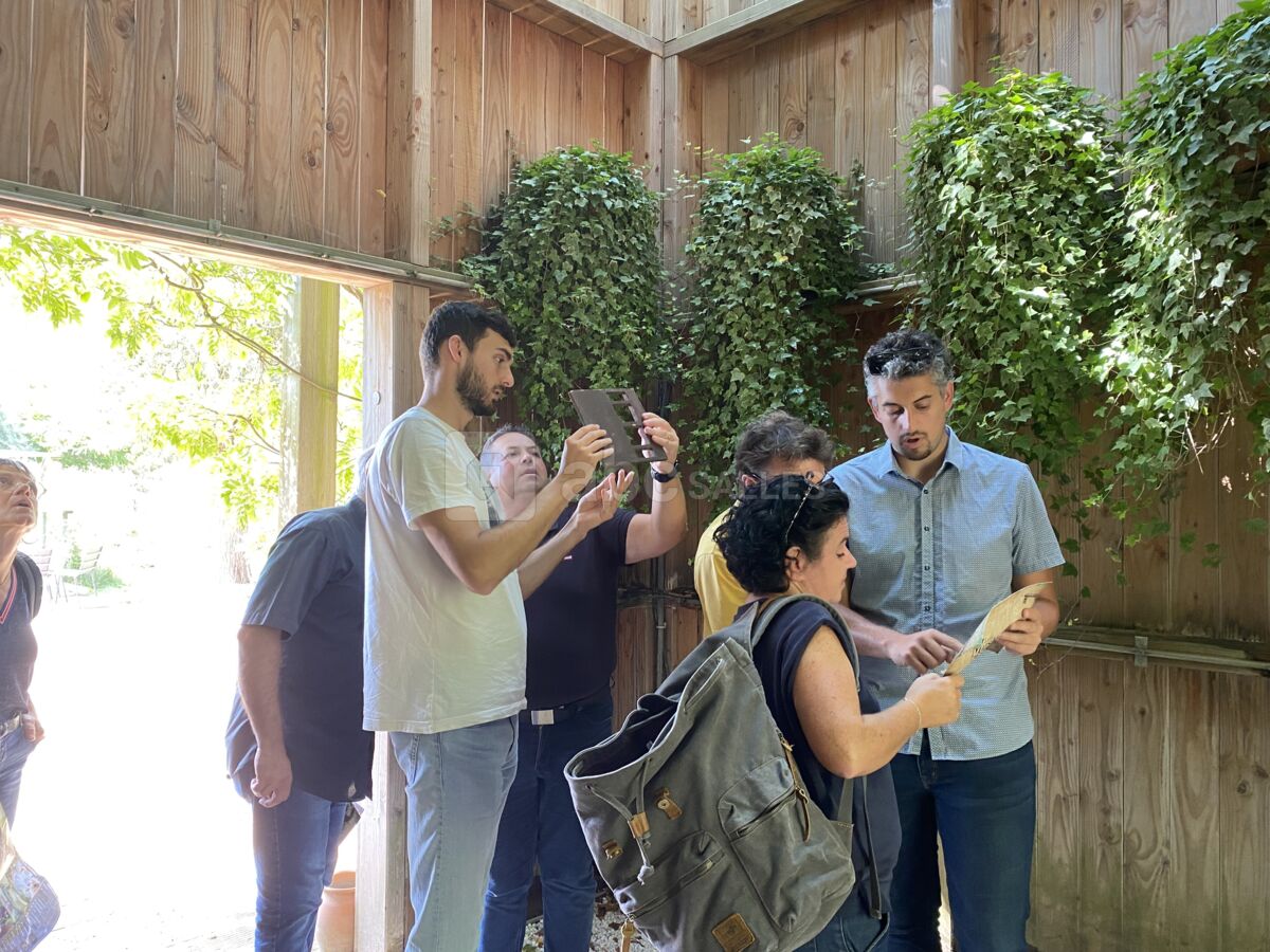 La Conquête de Terra