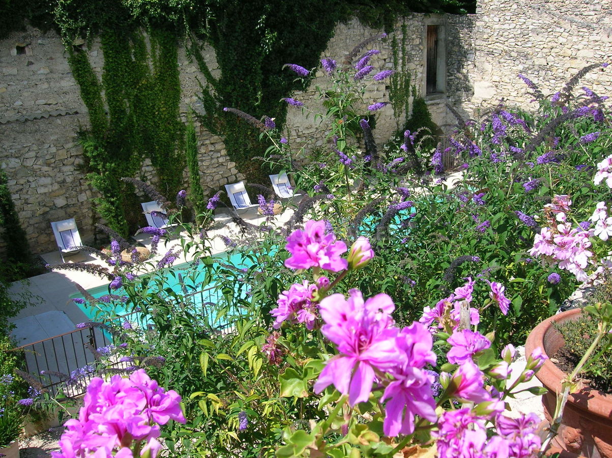 Jardin