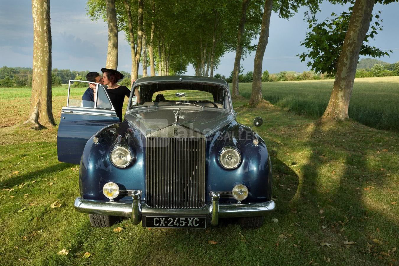 Fiancée dans l'allée de platanes