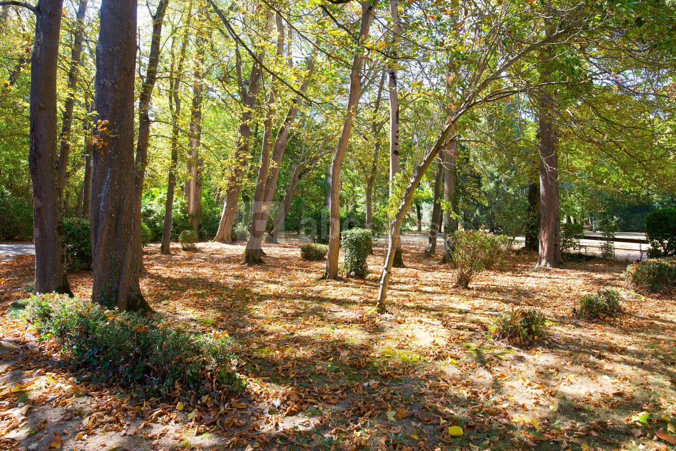 Château la Commanderie