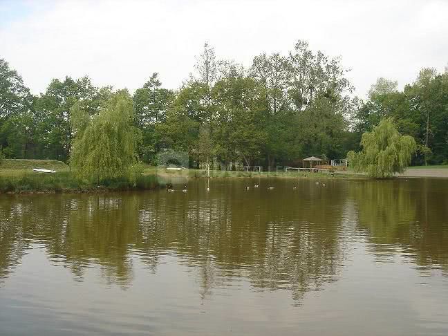 Premier étang