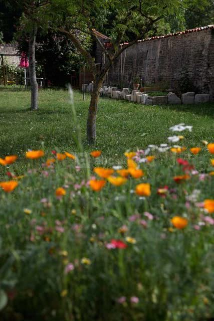 Jardin
