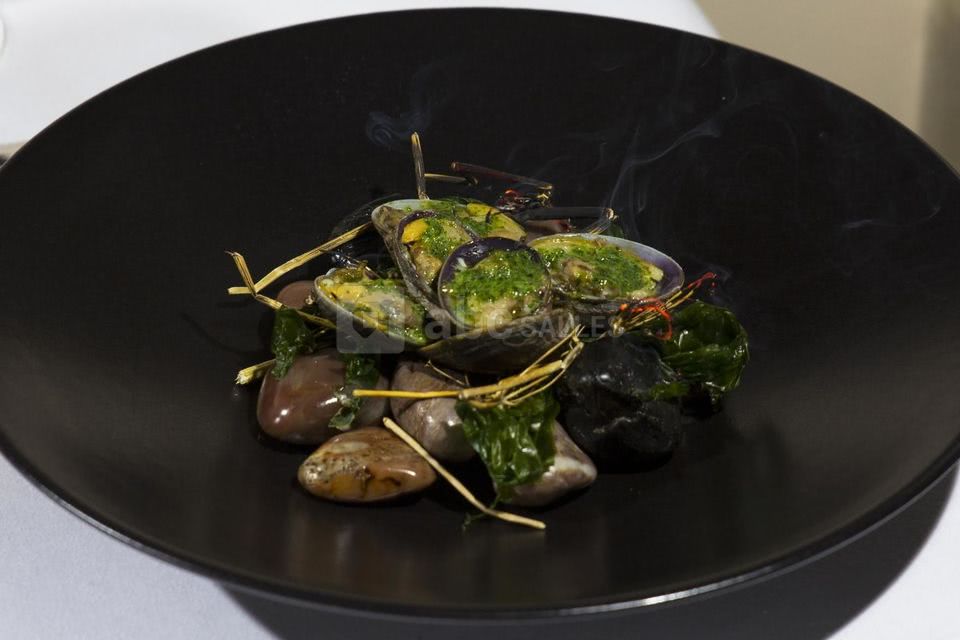 Zébulon Palais Royal