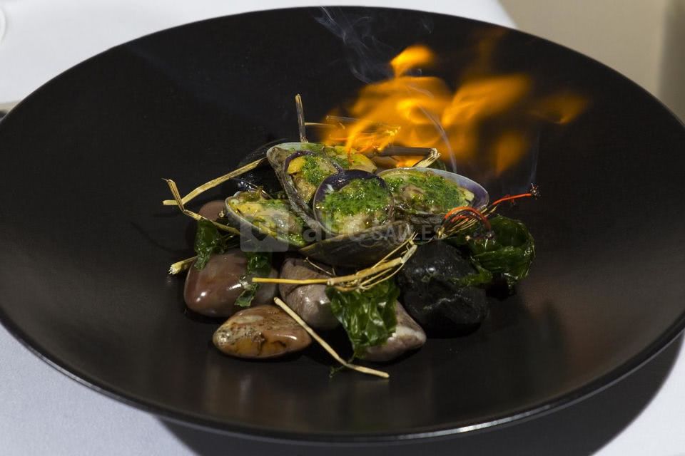 Zébulon Palais Royal